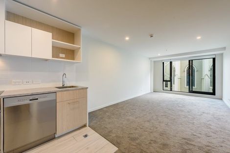 Photo of property in Vsp Southern Tower, 204/168 Victoria Street, Te Aro, Wellington, 6011