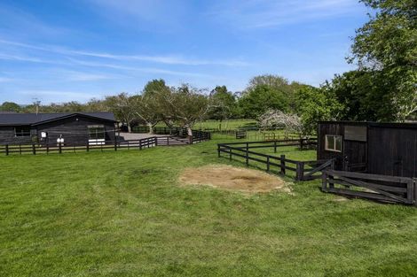 Photo of property in 43 Forrest Road, Cambridge, 3493