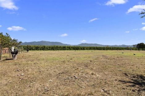 Photo of property in 81 Wildman Road, Motueka, 7120