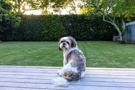 Photo of property in 36 Ladies Mile, Manly, Whangaparaoa, 0930