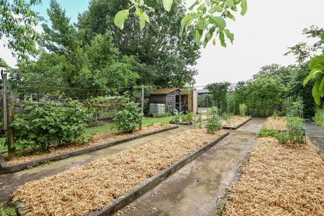 Photo of property in 24 Lincoln Road, Carterton, 5713