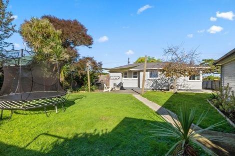 Photo of property in 593 Queen Street East, Levin, 5510