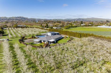 Photo of property in 1280 Howard Street, Parkvale, Hastings, 4122