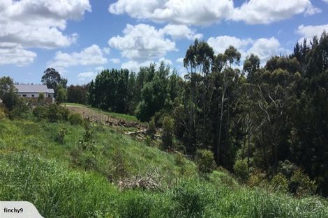 Photo of property in 115-133 Polson Hill Drive, Aokautere, 4471