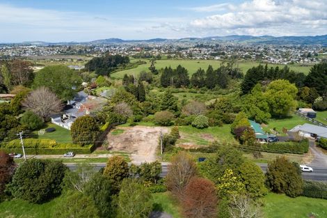 Photo of property in 288 Cambridge Road, Bethlehem, Tauranga, 3110