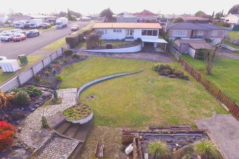 Photo of property in 22 Neal Street, Putaruru, 3411
