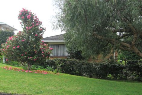 Photo of property in 17 Rutherford Street, Otumoetai, Tauranga, 3110