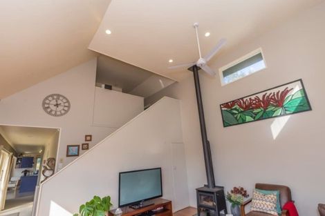 Photo of property in 246 Heatherlea East Road, Levin, 5571