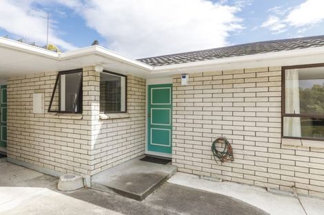 Photo of property in 155a Ruahine Street, Roslyn, Palmerston North, 4414