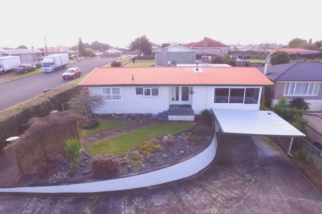 Photo of property in 22 Neal Street, Putaruru, 3411