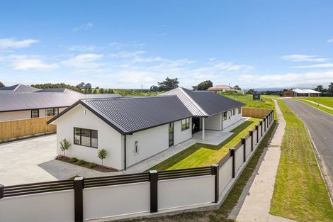 Photo of property in 172 Ranfurly Road, Feilding, 4702