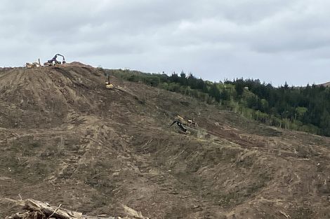 Photo of property in 670 Bickerstaffe Road, Maungaturoto, 0587