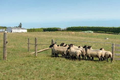 Photo of property in 6 Sarona Park Drive, Omanawa, Tauranga, 3171