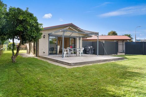 Photo of property in 136 Cameron Road, Te Puke, 3119