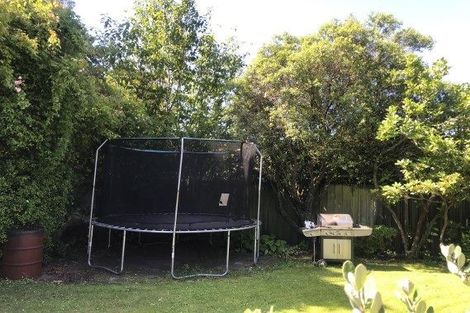 Photo of property in 36 Hamilton Avenue, Ilam, Christchurch, 8041