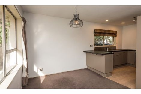 Photo of property in 22 Albany Street, St Albans, Christchurch, 8014