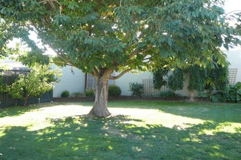 Photo of property in 48 Ashworth Street, Alexandra, 9320