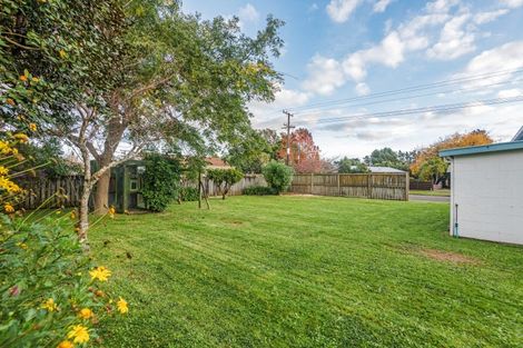 Photo of property in 93 Stortford Street, Ashhurst, 4810