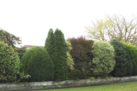 Photo of property in 79 Brodie Street, Ilam, Christchurch, 8041