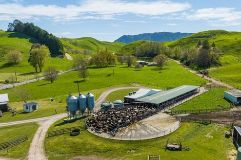Photo of property in 385 Whirinaki Valley Road, Ngakuru, Rotorua, 3077