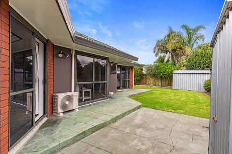 Photo of property in 6 Bayfair Drive, Mount Maunganui, 3116