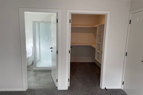 Photo of property in 117 Limbrick Street, Terrace End, Palmerston North, 4410