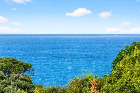 Photo of property in 42 Wonderview Road, Leigh, 0985