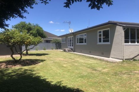 Photo of property in 31 Roosevelt Street, Levin, 5510