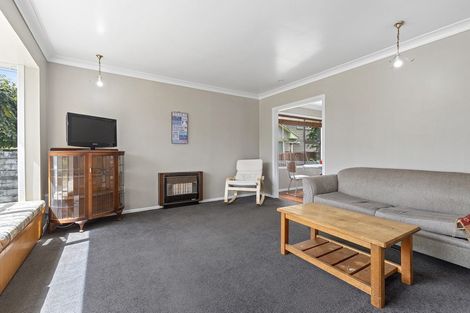 Photo of property in 6 Vine Street, Hillcrest, Hamilton, 3216