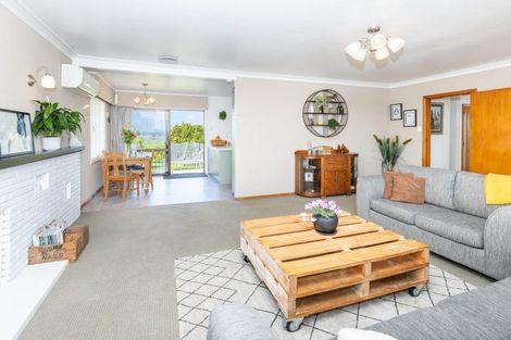 Photo of property in 43 Frontier Road, Te Awamutu, 3876