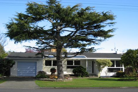 Photo of property in 56 Macarthur Street, Levin, 5510