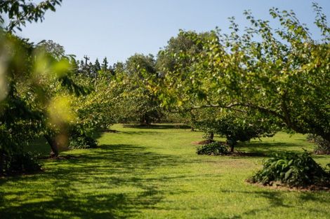 Photo of property in 10a Bridgman Lane, Tanners Point, Katikati, 3177