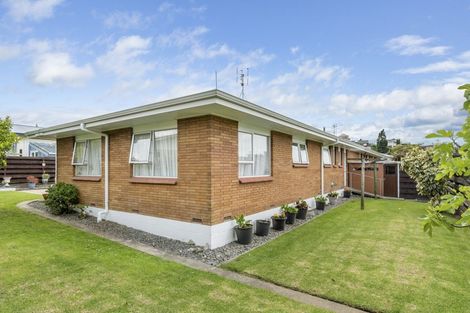 Photo of property in 11b Balmoral Terrace, Otumoetai, Tauranga, 3110