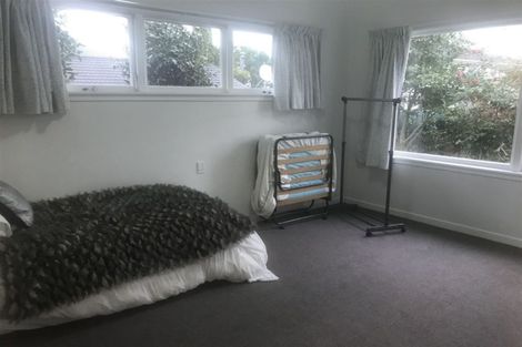 Photo of property in 53 Papanui Road, Merivale, Christchurch, 8014
