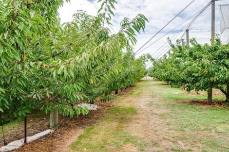 Photo of property in 200 Longlands Road, Longlands, Hastings, 4172