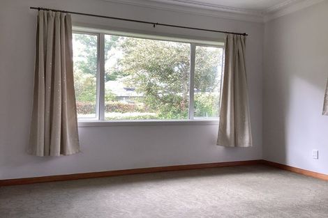 Photo of property in 3 Avon Street, Roslyn, Dunedin, 9010