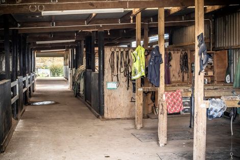 Photo of property in 2/101 Racecourse Road, Cambridge, 3493