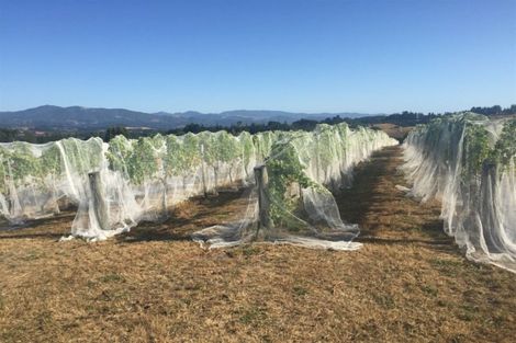 Photo of property in 66 Flett Road, Lower Moutere, Upper Moutere, 7175