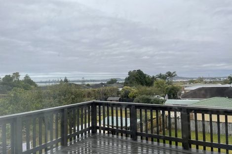 Photo of property in 305 Te Atatu Road, Te Atatu South, Auckland, 0610