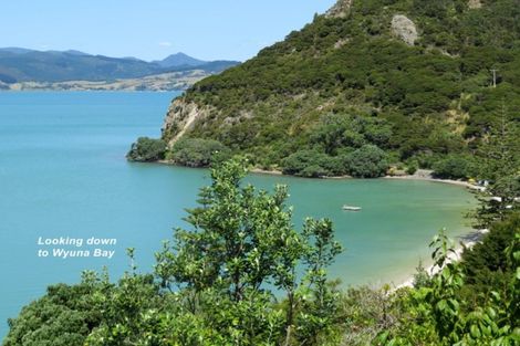 Photo of property in 2195 Wyuna Bay Road, Wyuna Bay, Coromandel, 3581