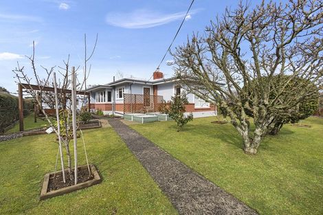 Photo of property in 10 Rata Street, Matamata, 3400