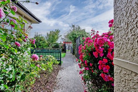 Photo of property in 171 Chelmsford Street, Windsor, Invercargill, 9810