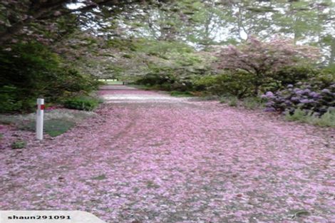 Photo of property in 29 Rakau Road, Reporoa, 3081