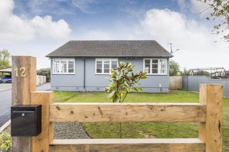 Photo of property in 12 Avon Terrace, Roslyn, Palmerston North, 4414