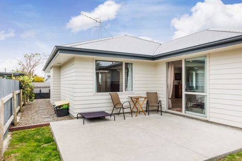 Photo of property in 64 Salisbury Street, Ashhurst, 4810