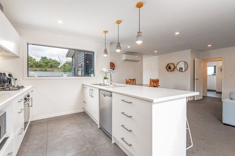 Photo of property in 30a Aberdeen Avenue, Takaro, Palmerston North, 4412