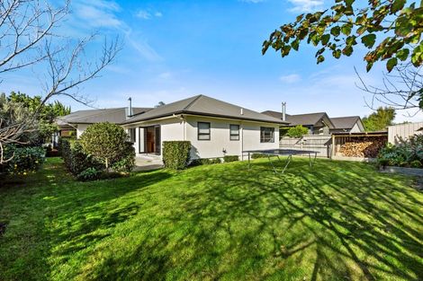 Photo of property in 27 Napier Street, Jervoistown, Napier, 4112