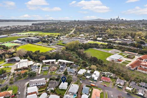 Photo of property in 48 Premier Avenue, Point Chevalier, Auckland, 1022