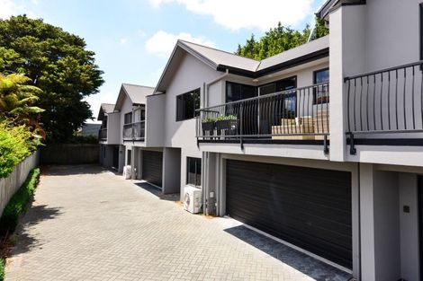 Photo of property in 416b Tristram Street, Whitiora, Hamilton, 3200