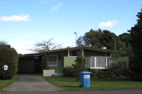 Photo of property in 54 Macarthur Street, Levin, 5510